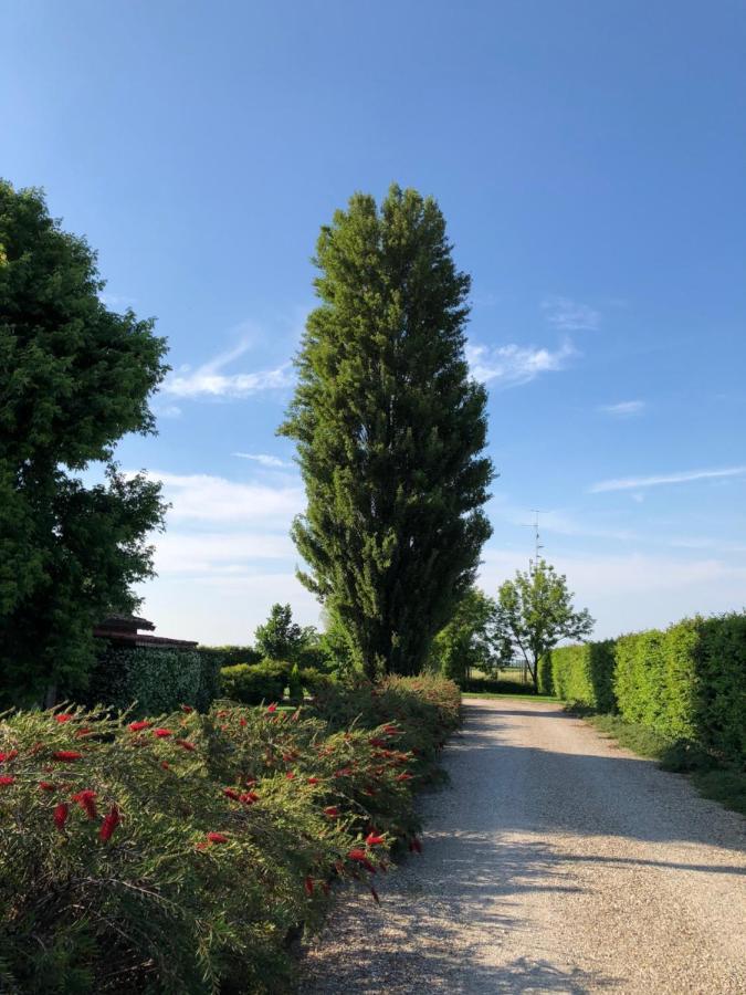 Via D' Este 8 Gualtieri Kültér fotó
